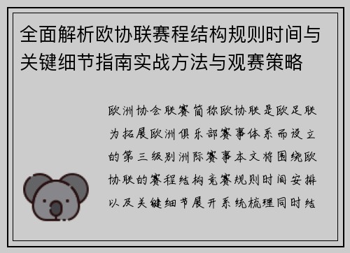 全面解析欧协联赛程结构规则时间与关键细节指南实战方法与观赛策略
